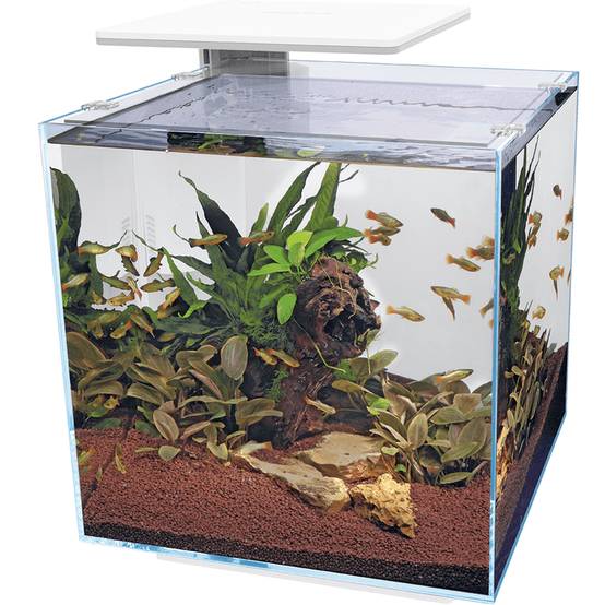 Superfish - Aquarium Qubiq 60 Pro Blanc cube 60 L 40 x 40 cm - SUPERFISH