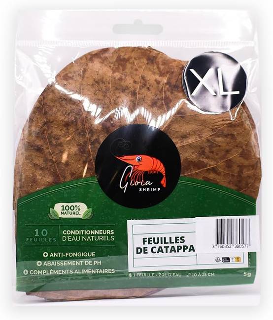 Gioia SHRIMP Feuilles de catappa XL (15-20cm) / Conditionneur d'eau Naturel/Poissons/Crevettes d'aquarium