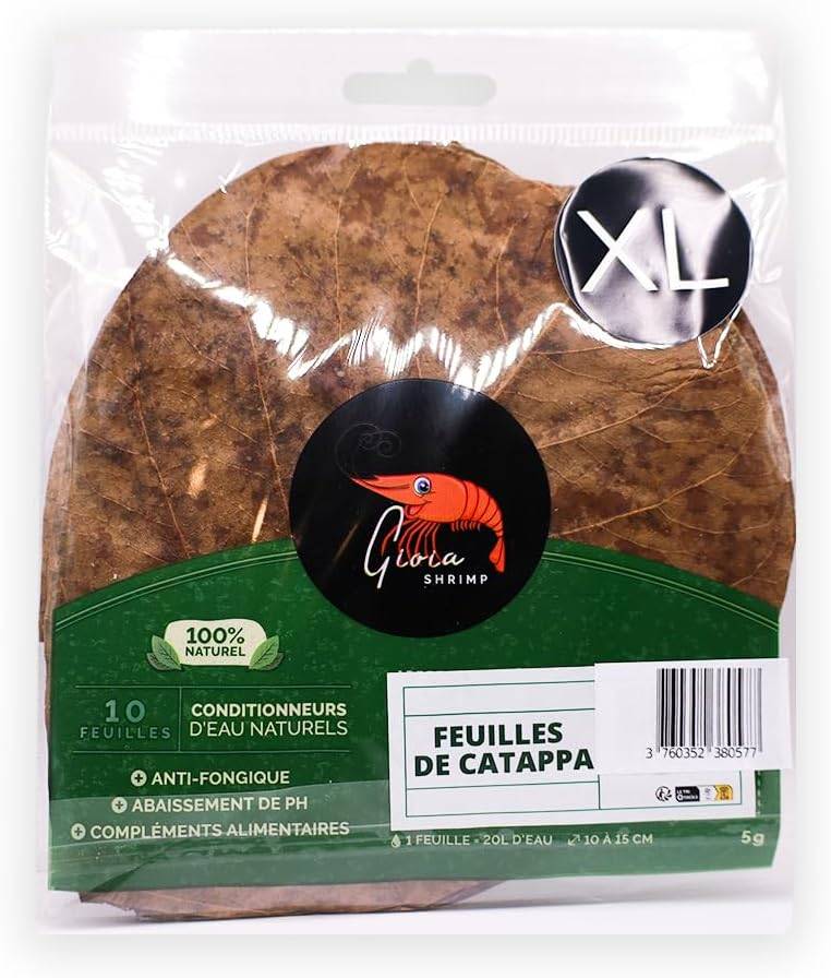 Gioia SHRIMP Feuilles de catappa XL (15-20cm) / Conditionneur d'eau Naturel/Poissons/Crevettes d'aquarium