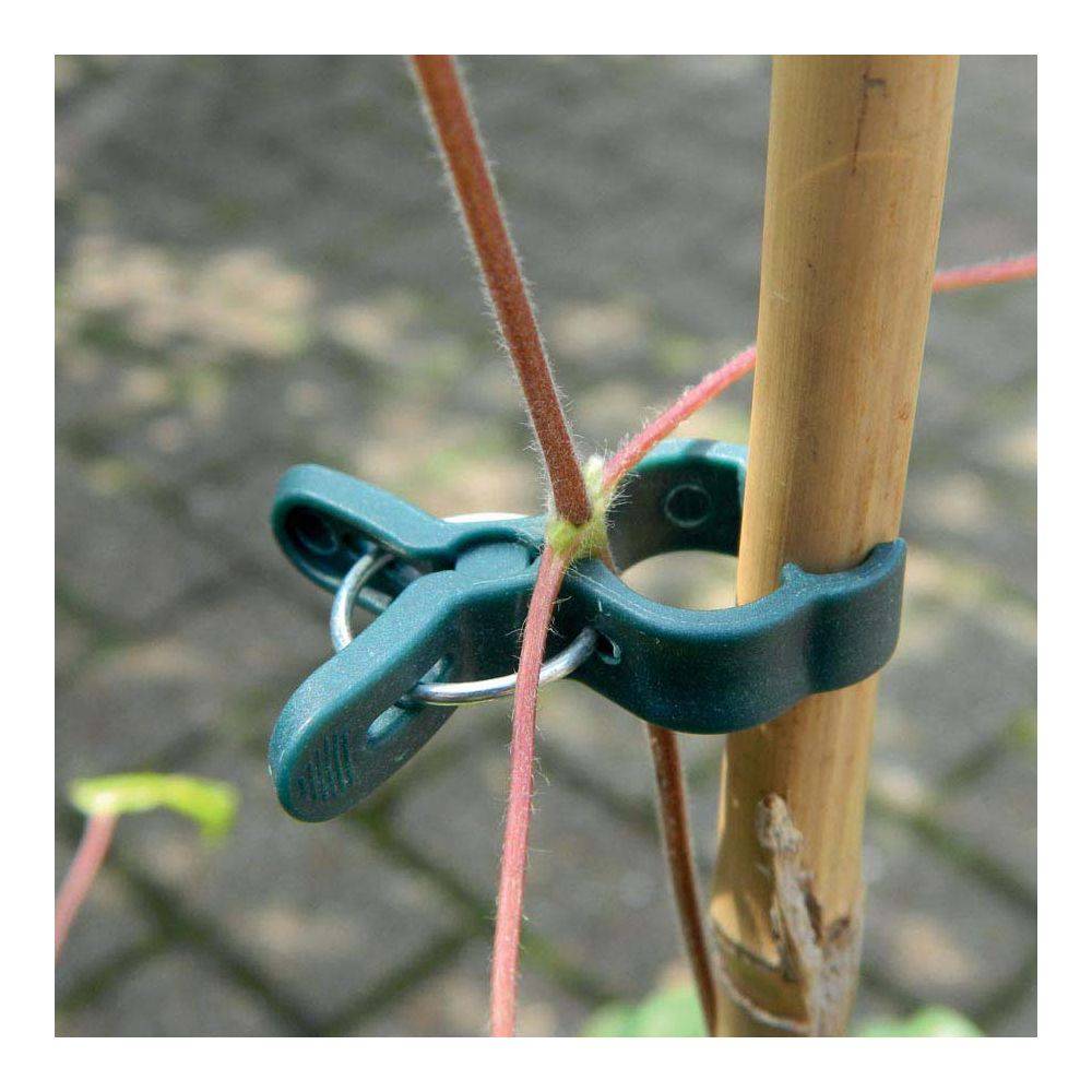 Garland - Pinces de fixation en plastique pour plantes (Lot de 10) Garland - Imagen 2