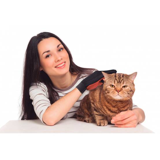 Gant Brossage Animaux | Rouge | Adulte- VENTEO - Image 2