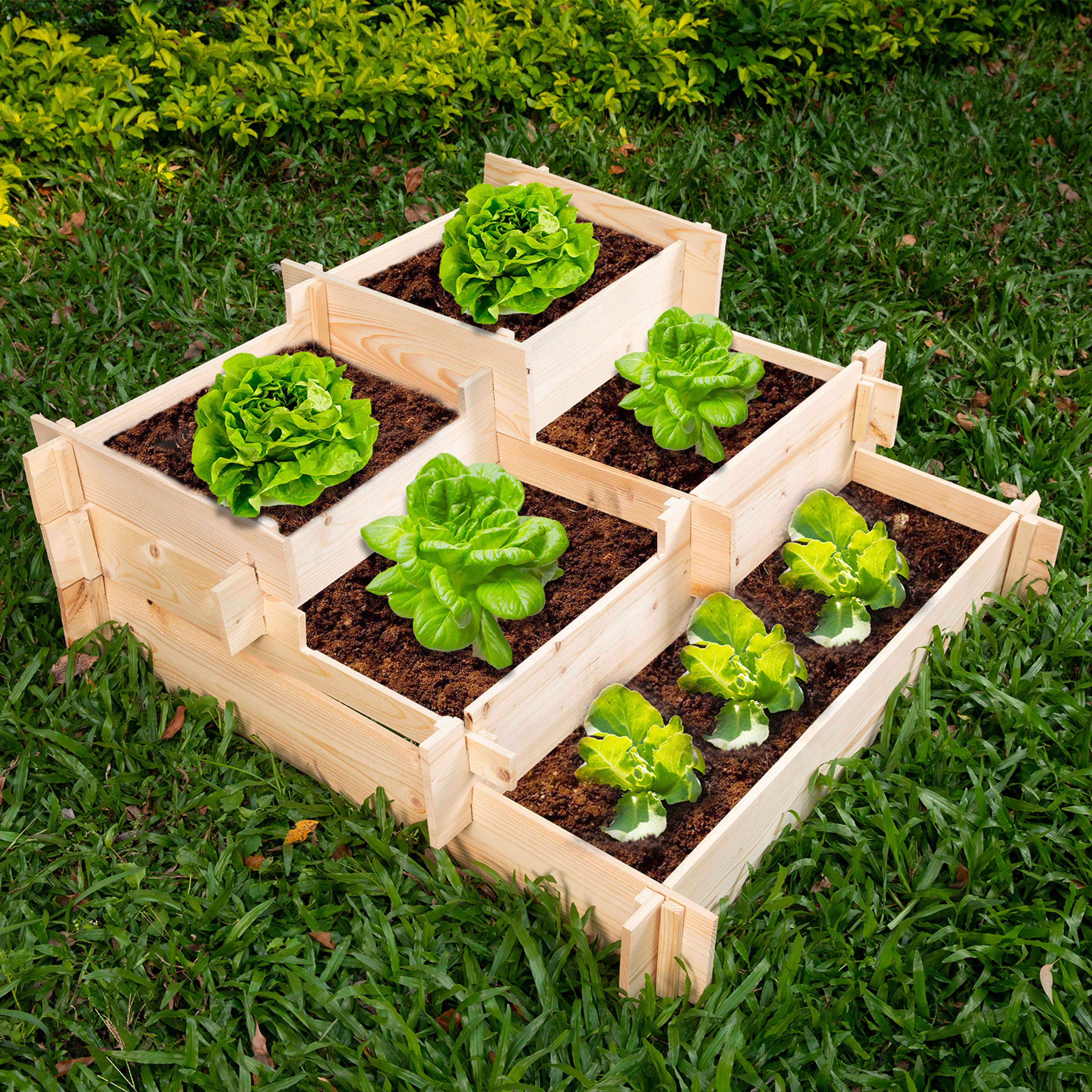 Oviala - Carré potager 5 cases en bois Forum - Oviala - Imagen 3