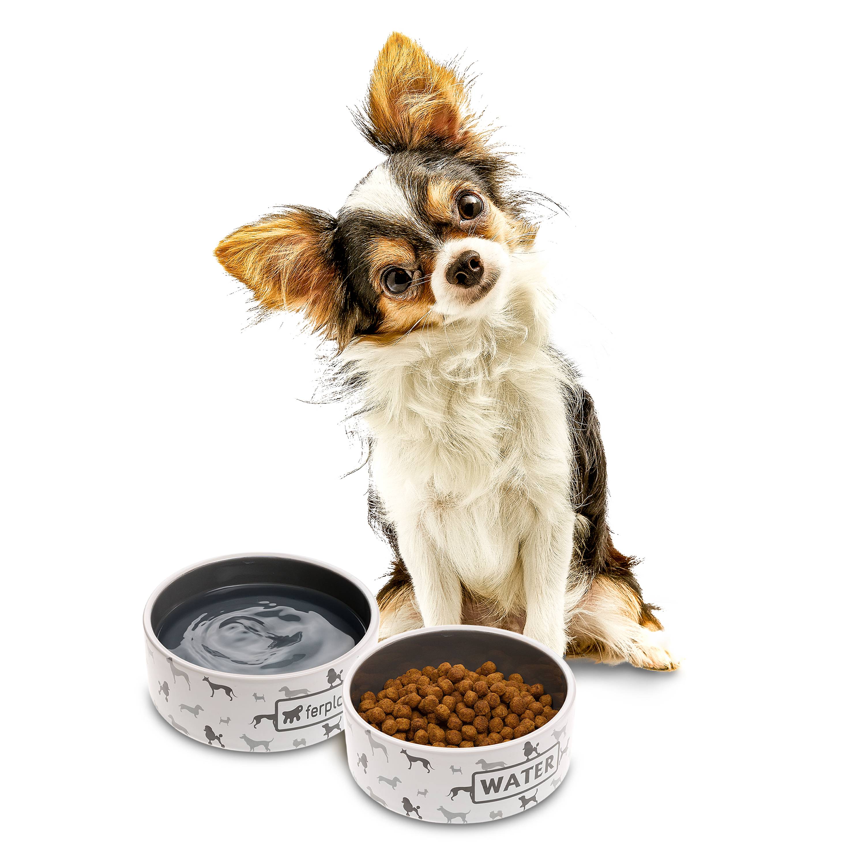 Ferplast - Ecuelle en Céramique pour Petits Chiens et Chats, JUNO SMALL, Fantaisie originale - Imagen 4