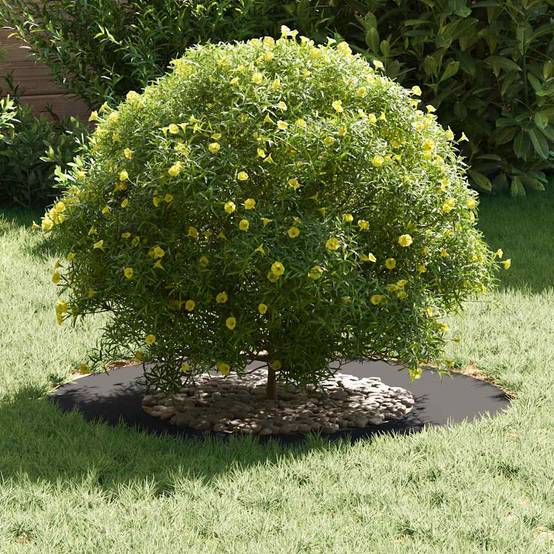 Bordure d'Arbre Carrée Acier pour Jardin Délimitation Pelouse 70x70 cm Noir - ComfortXL Outdoor Living - Image 3