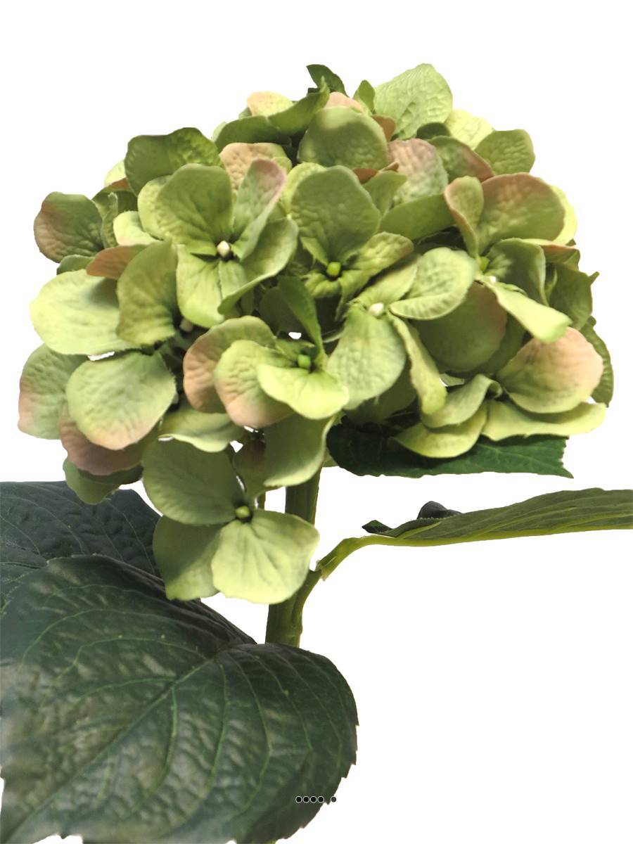Artificielles - Hortensia artificiel en branche, H 48 cm Crème vert - BEST - couleur: Crème vert - Imagen 3