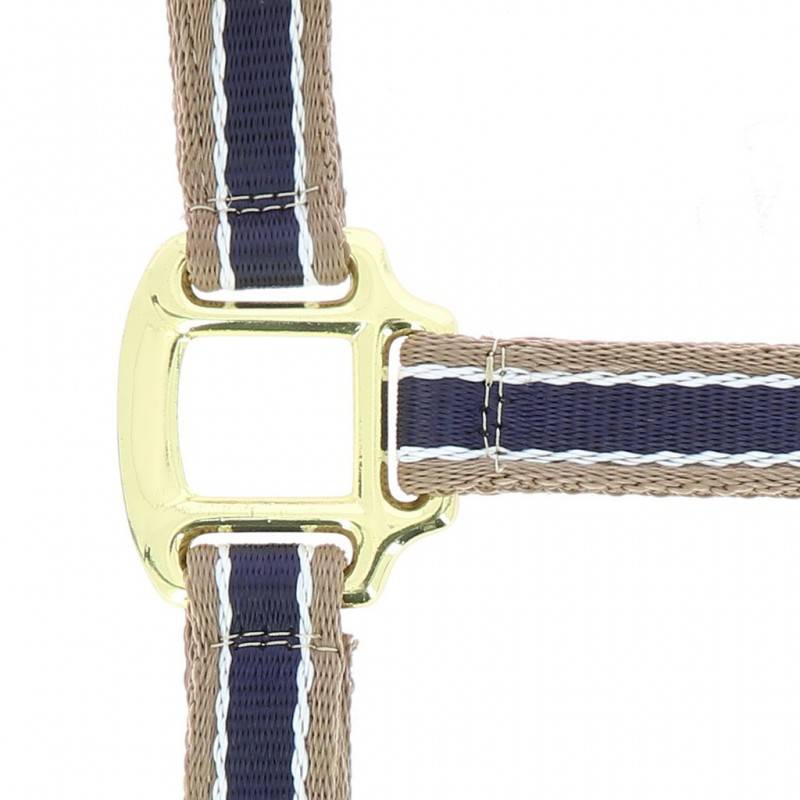 Licol polyfun bleu marine EQUITHEME pour cheval - Imagen 2