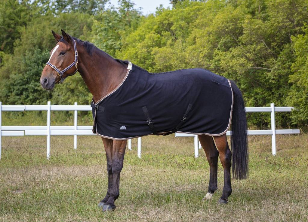 Licol polyfun bleu marine EQUITHEME pour cheval - Imagen 1