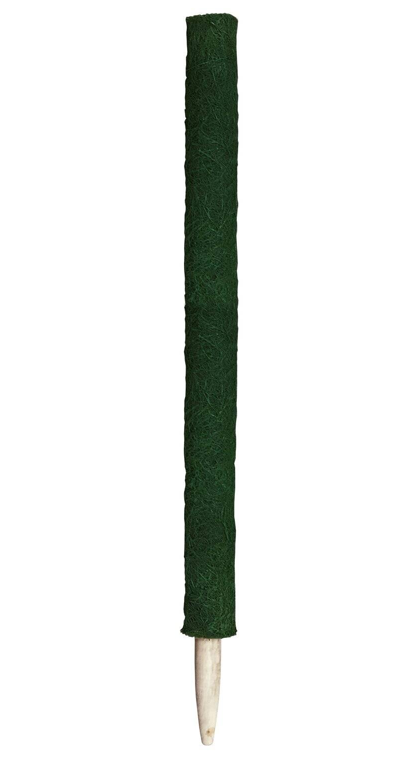 Peacock - Tutor de fibra de coco 60 cm Ø 4 cm verde - PEACOCK