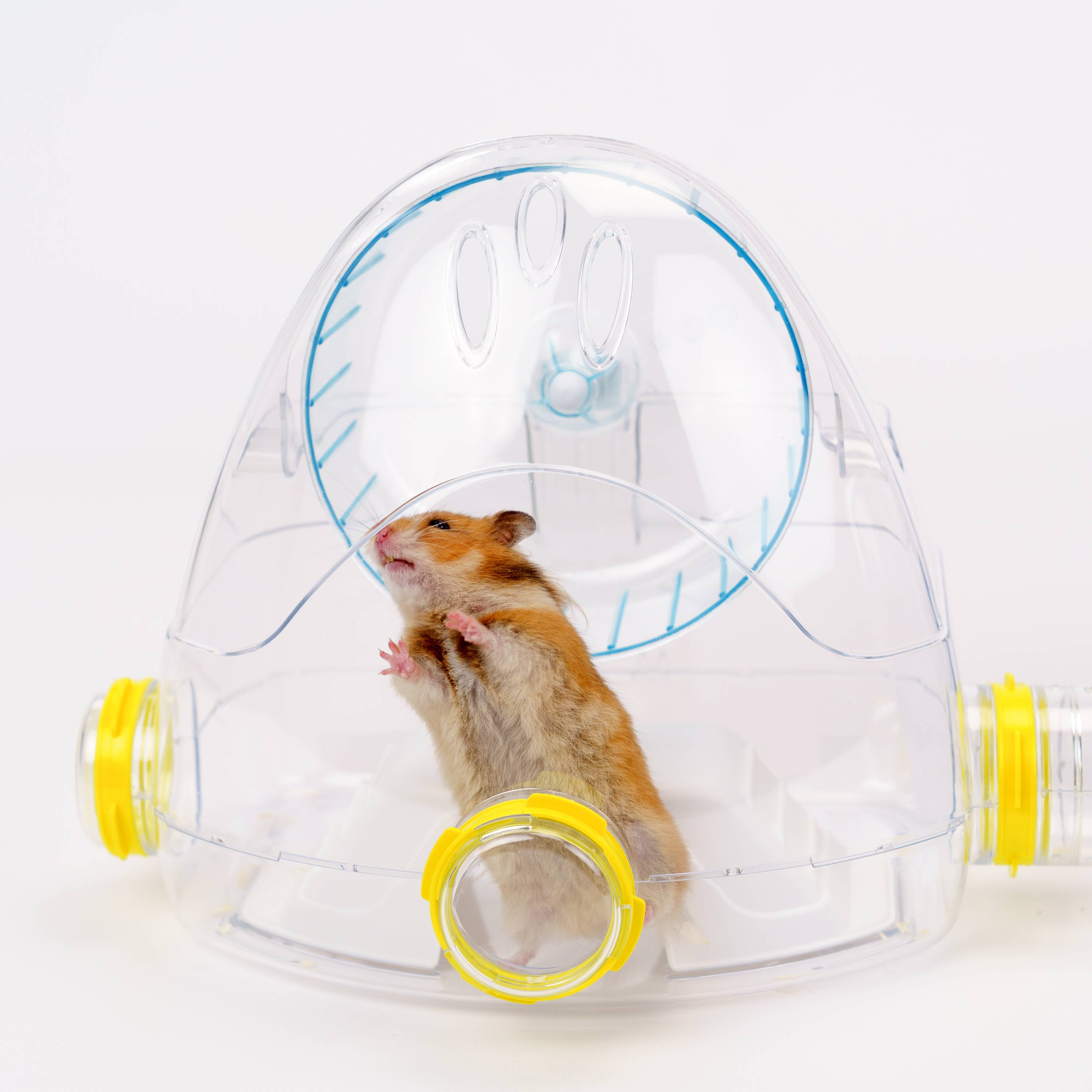 Ferplast - Ferplast Cage pour hamsters COMBI 2, habitat pour petits rongeurs, plastique robuste, toit avec grille qui s'ouvre, tunnel et module de jeux, - Imagen 7