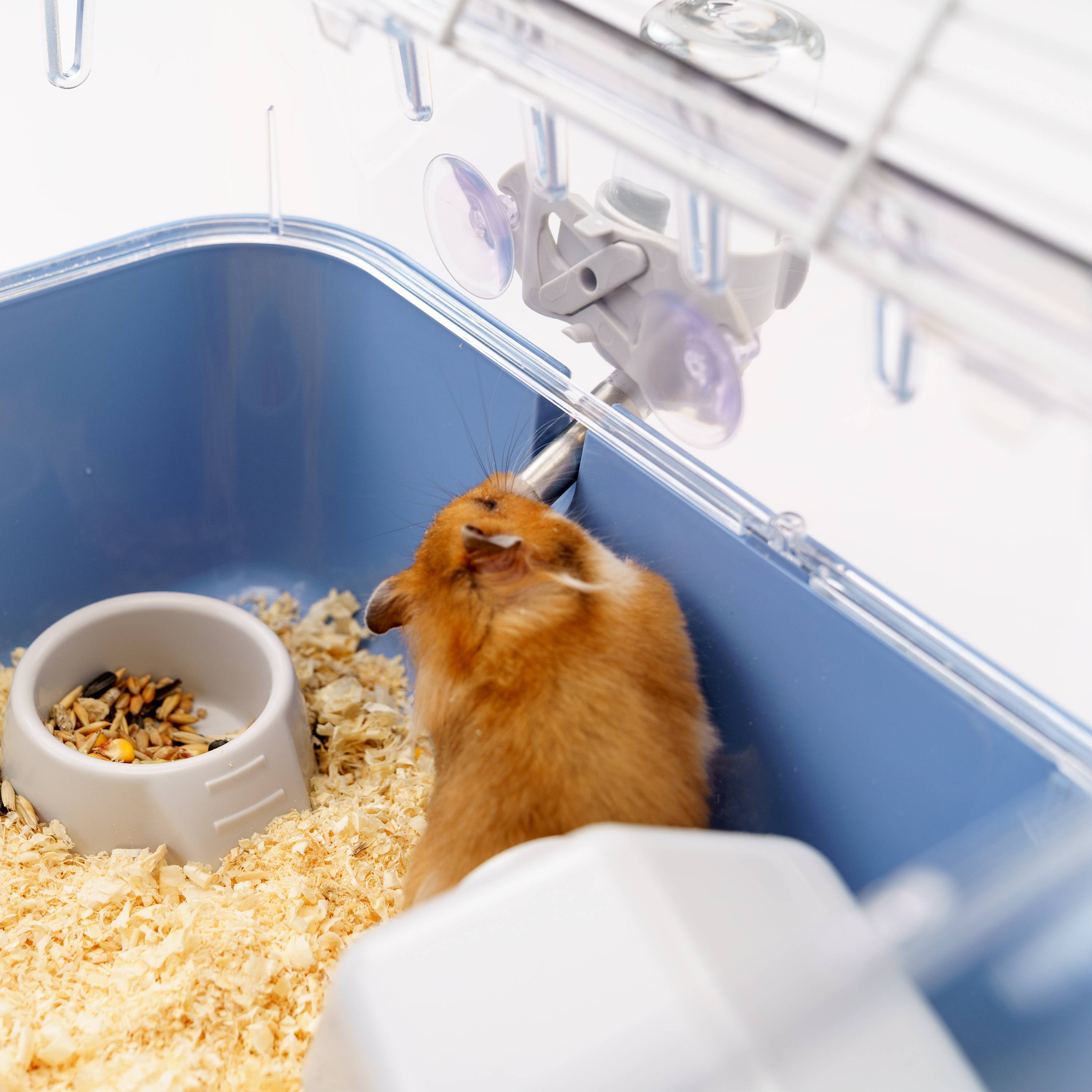 Ferplast - Ferplast Cage pour hamsters COMBI 2, habitat pour petits rongeurs, plastique robuste, toit avec grille qui s'ouvre, tunnel et module de jeux, - Imagen 5