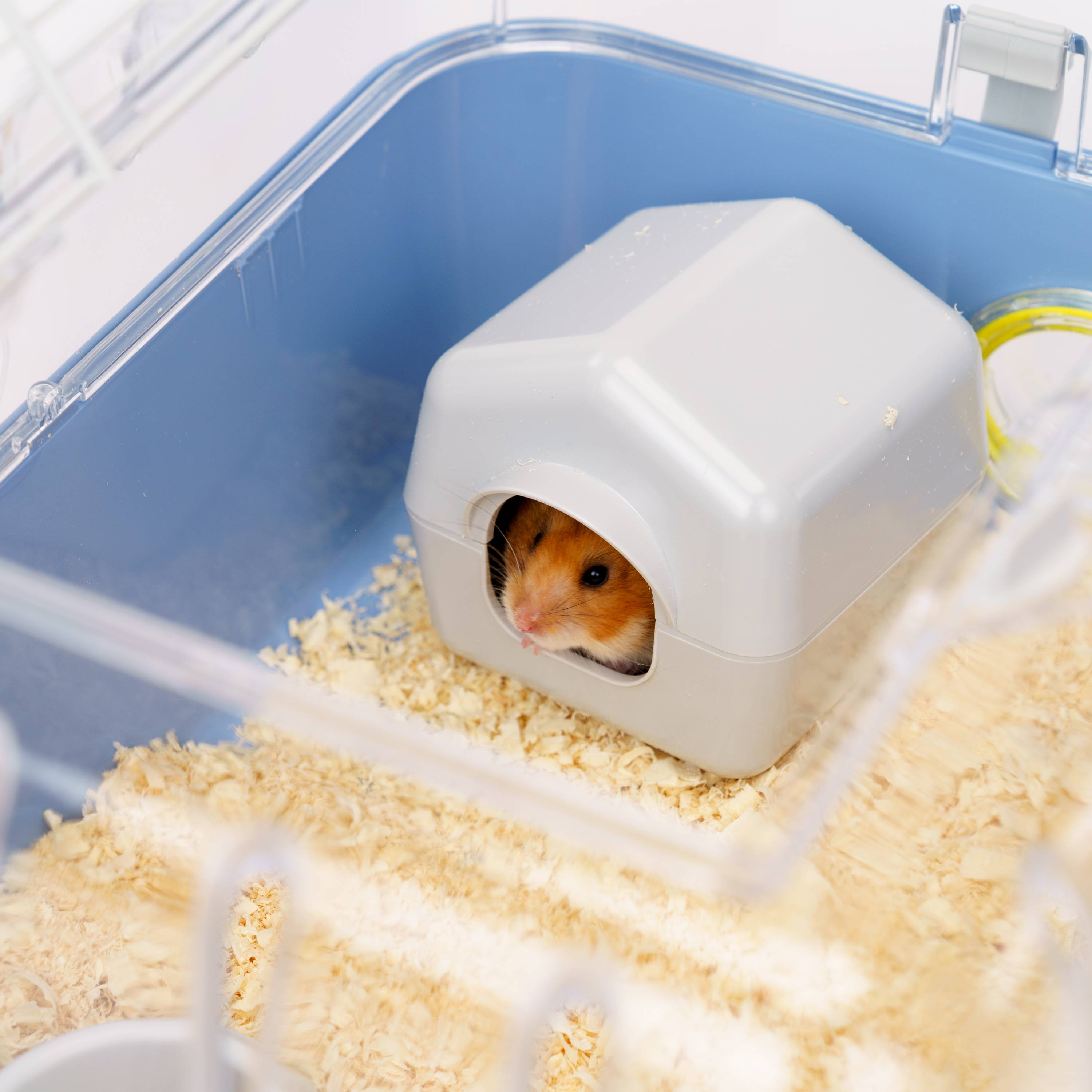 Ferplast - Ferplast Cage pour hamsters COMBI 2, habitat pour petits rongeurs, plastique robuste, toit avec grille qui s'ouvre, tunnel et module de jeux, - Imagen 8