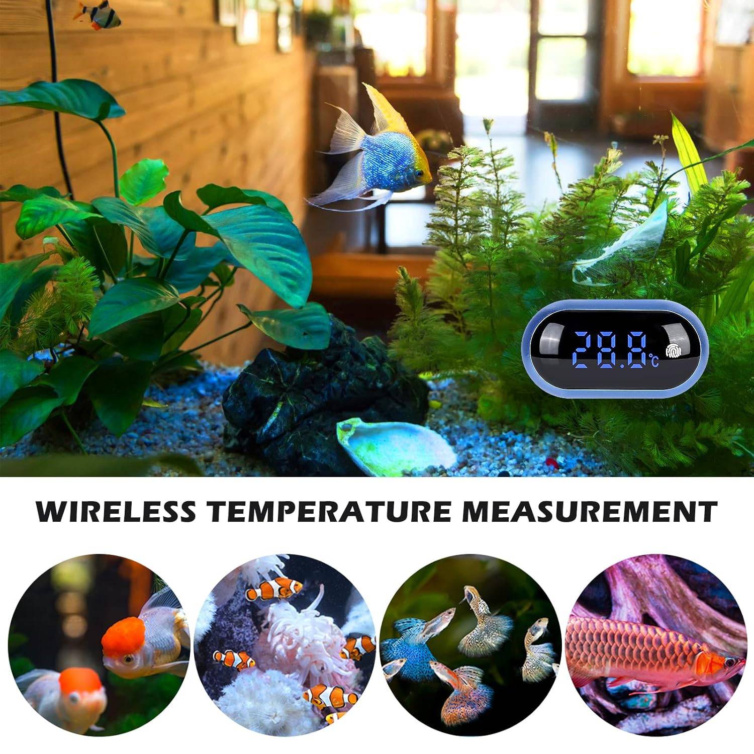 Thermomètre Aquarium LED Tactile - Grand Écran DtopbuyAge - Image 3
