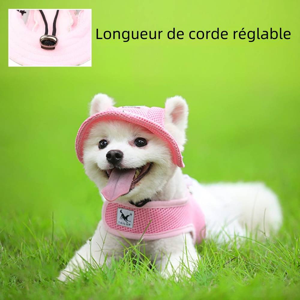 IntiMeg - Chapeau de soleil pour chien m - IntiMeg - Image 2