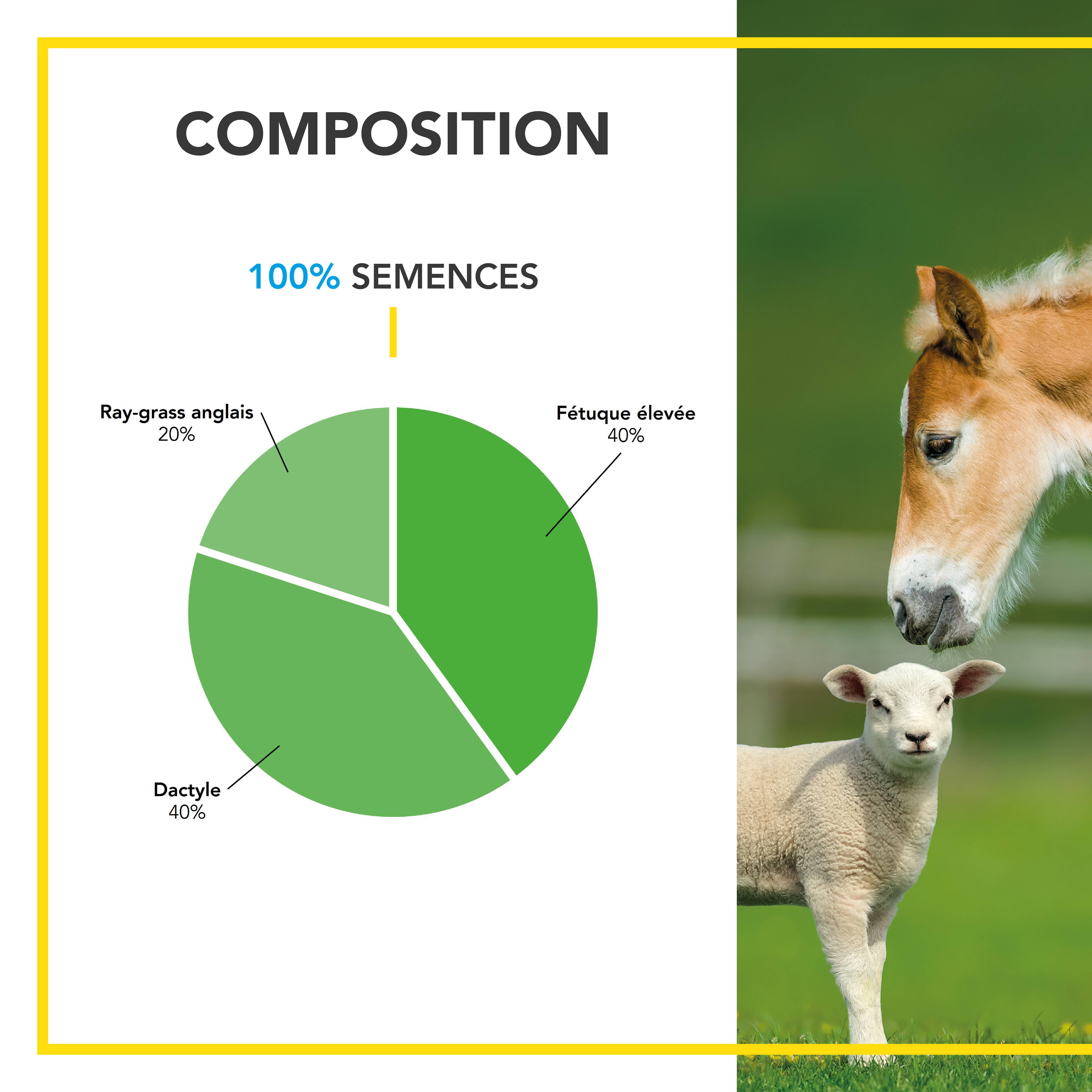 Mélange Prairie - Productif et Appétent - Rapide d'Installation - Très Bonne Pérennité - Production Alimentation pour Animaux - 1KG - BARENBRUG - Image 3