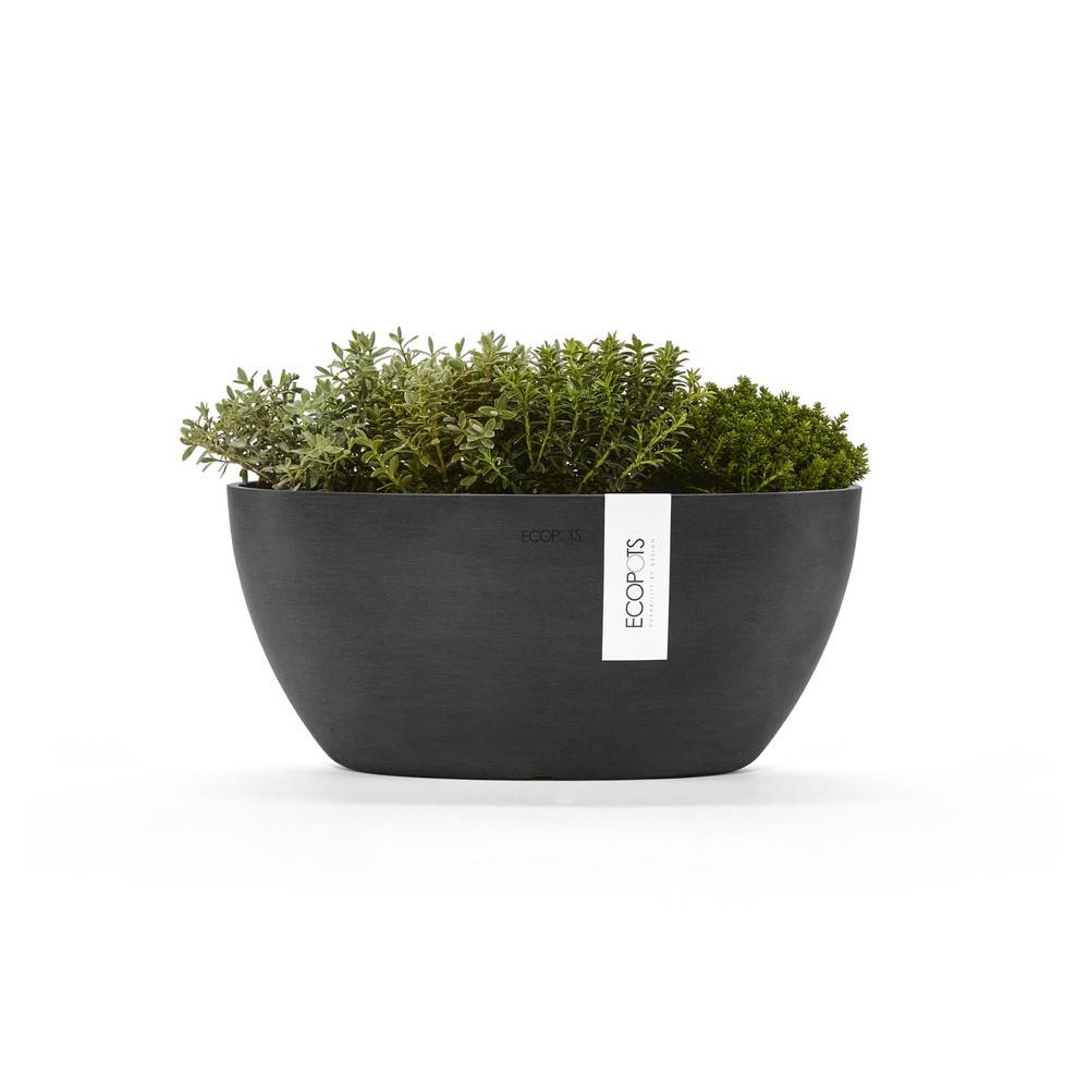 Ecopots - Pot Ovale Sofia 30 Gris Foncé + réservoir d'eau - 30 x 13 x H. 13,5 cm - 2,7 L ECOPOTS - Imagen 2