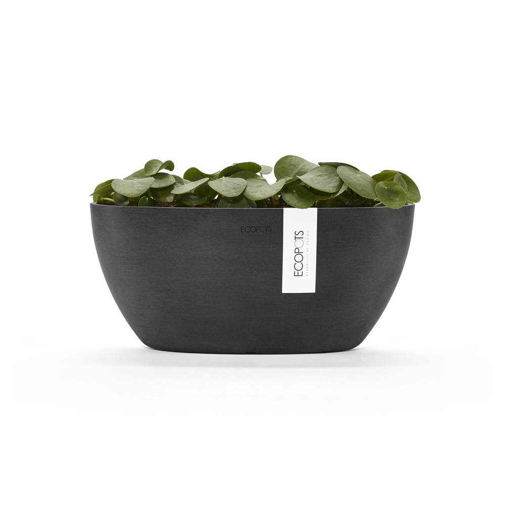 Ecopots - Pot Ovale Sofia 30 Gris Foncé + réservoir d'eau - 30 x 13 x H. 13,5 cm - 2,7 L ECOPOTS - Imagen 3