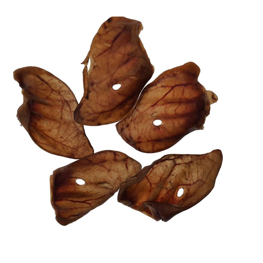 animallparadise - 5 oreilles de porc friandise pour chien - Imagen 3