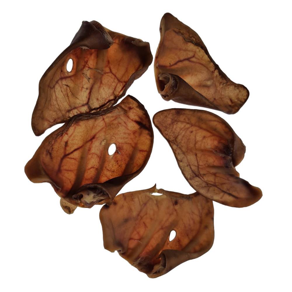 animallparadise - 5 oreilles de porc friandise pour chien - Imagen 1