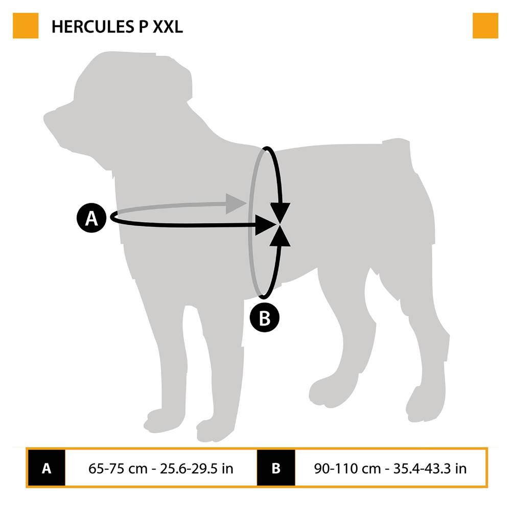 Ferplast - Harnais pour Chiens HERCULES XXL, Rembourré, Résistant, Anti-rayures, Visible dans l'Obscurité, avec Poignée - Imagen 2