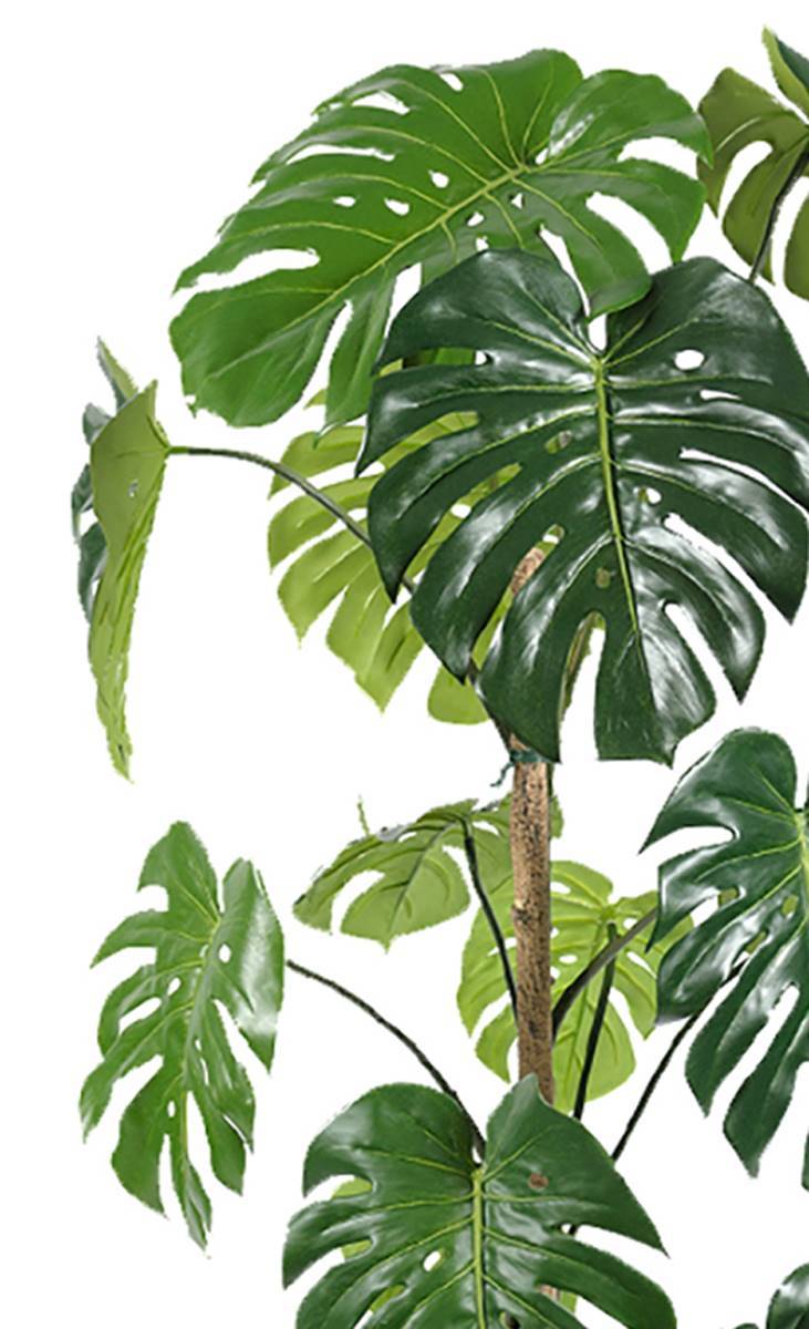 Artificielles - Monstera deliciosa artificielle, sur pied, en pot H 150 cm, D 70 cm - dimhaut: H 150 cm - Imagen 3