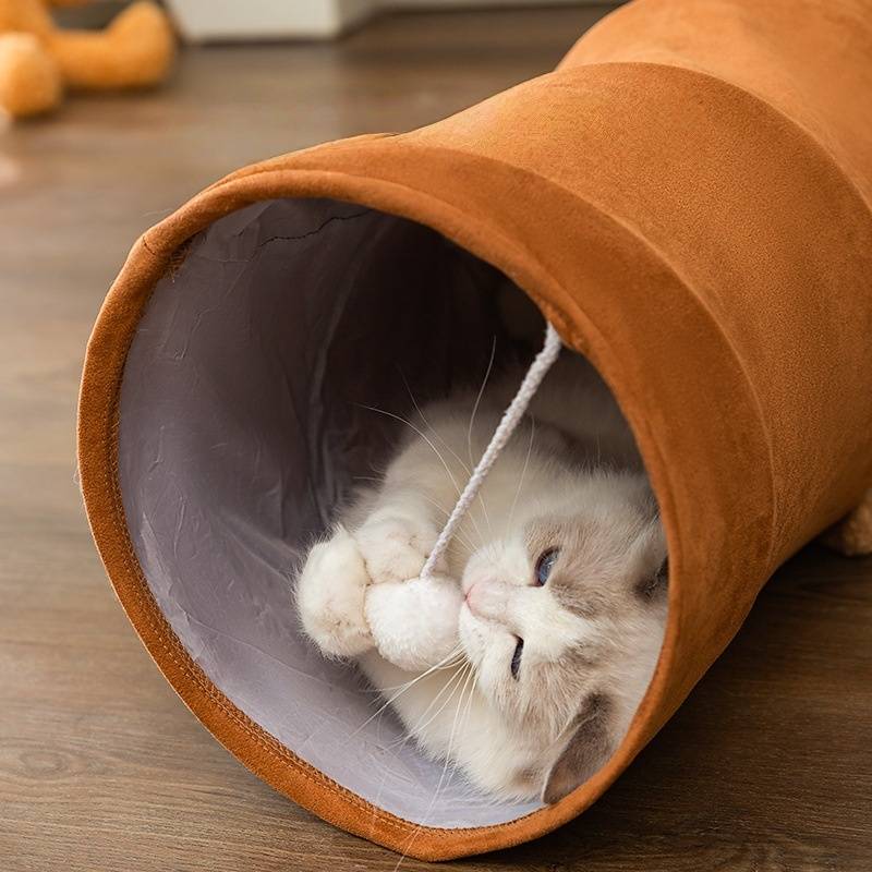 Tunnel pour chat DtopbuyAge - Image 3