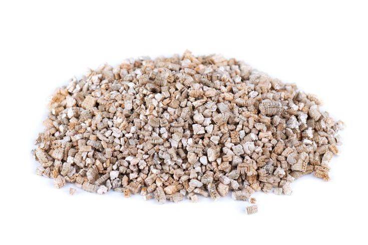Vermiculite Pour Plante - Qualité Horticole - 4L - Image 2