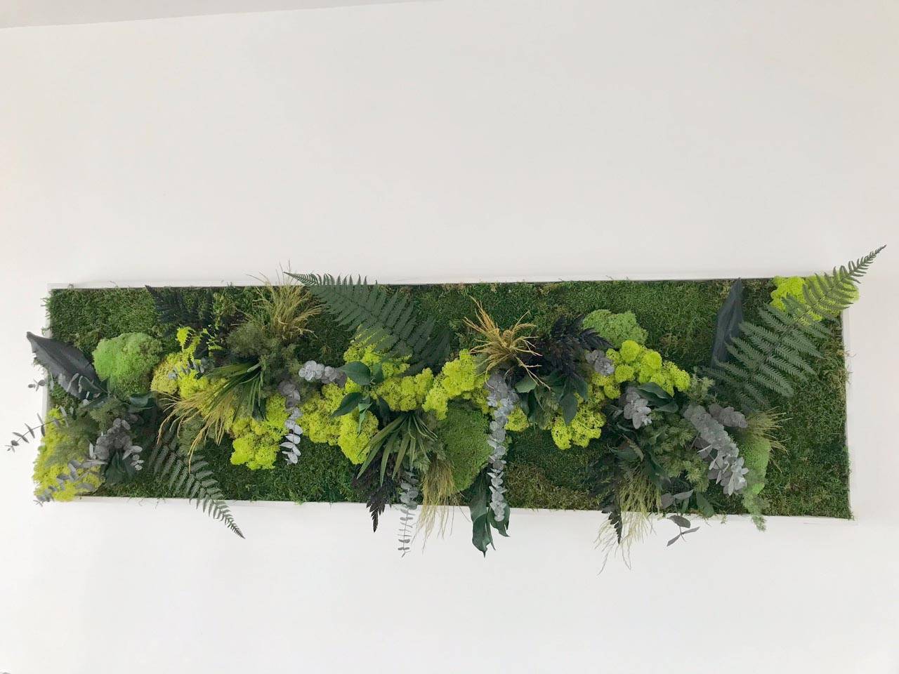 Tableau Végétal Stabilisé Ji Irui - Tableau Végétal - Décoration d'Intérieur - 140*40 cm - Image 1