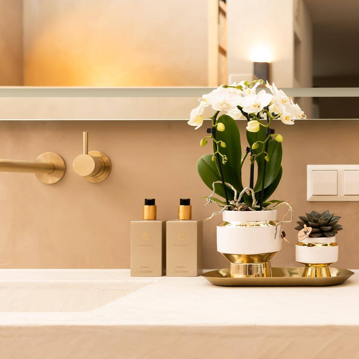 Le Chic bloempot - Pot blanc avec détails dorés- La Green Touch - Imagen 2