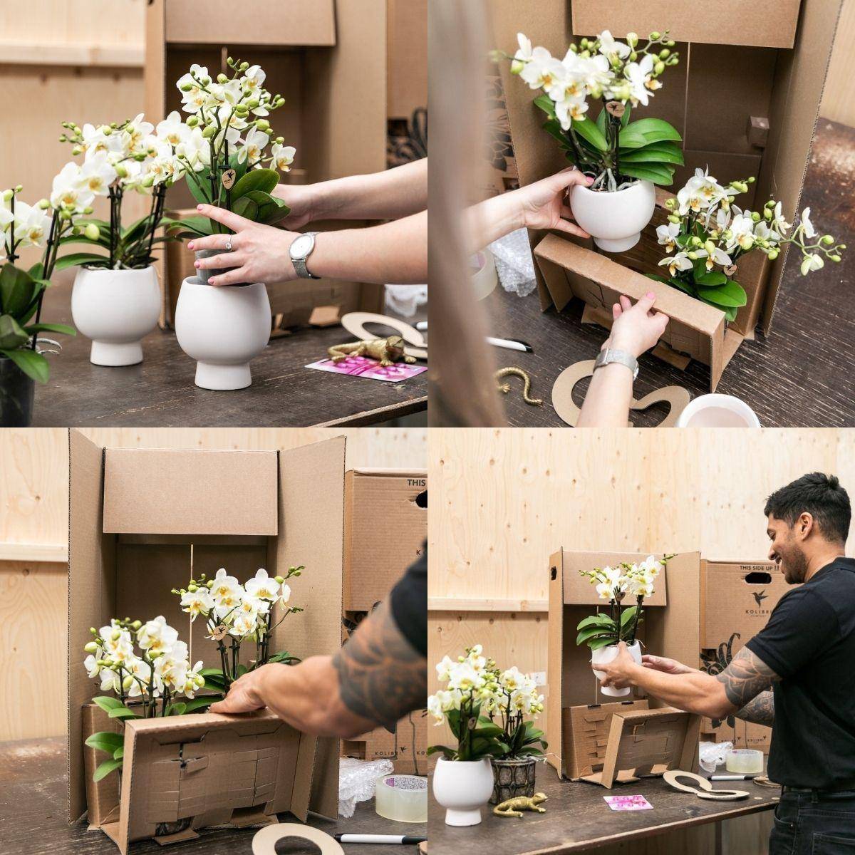 Le Chic bloempot - Pot blanc avec détails dorés- La Green Touch - Imagen 8