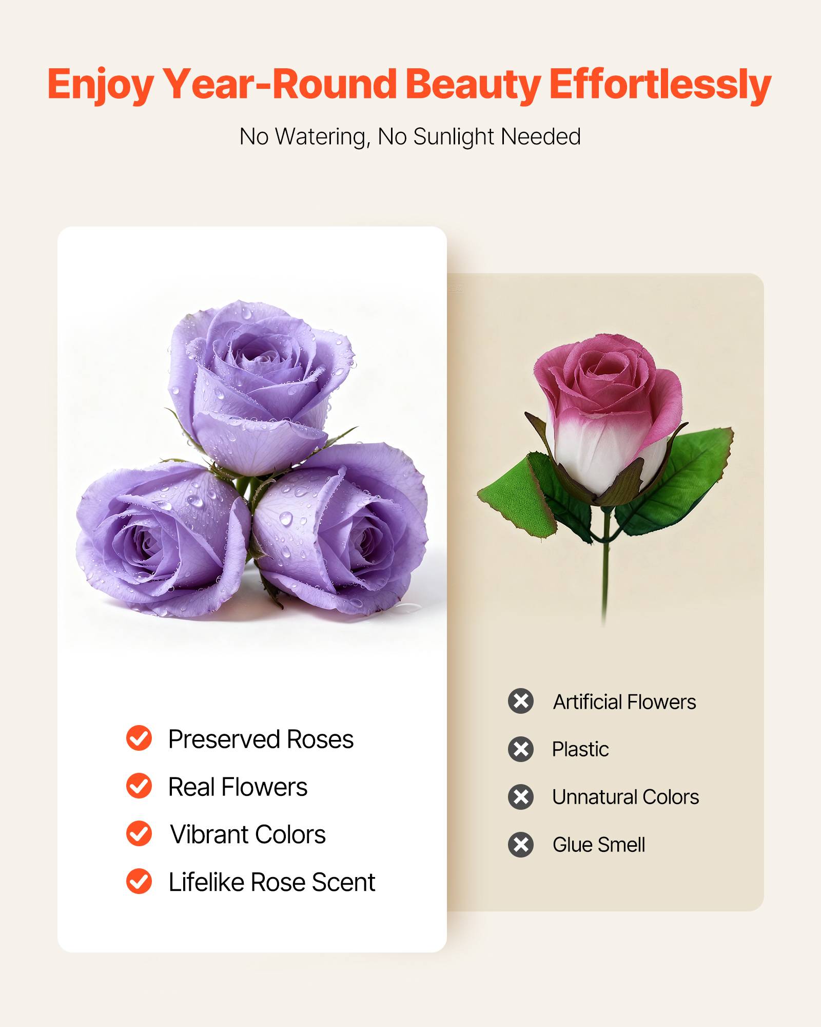 VEVOR Rose Éternelle Fleurs Éternelles Préservées Lot de 50 Boîte Ronde Violet - Image 4