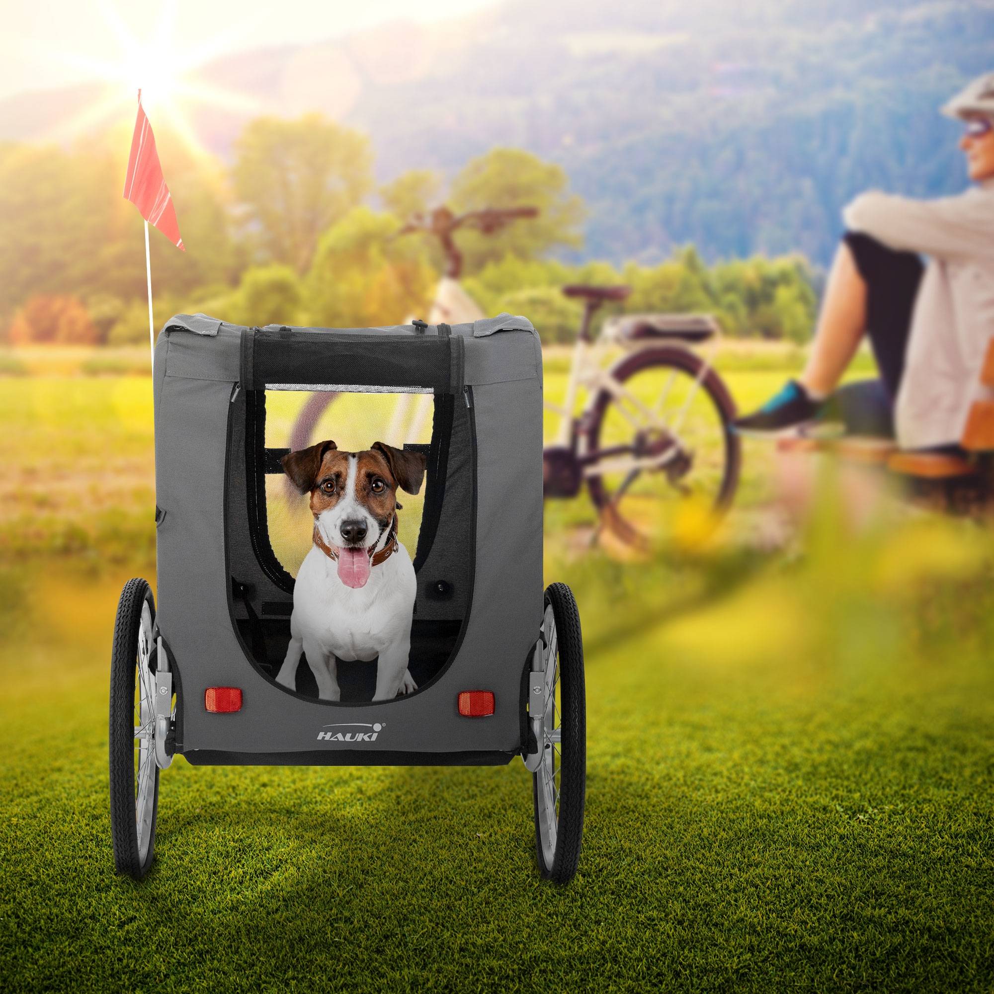 Remorque 2in1 de vélo et chien pliable gris chariot à réflecteurs/drapeau 40 kg - Imagen 9