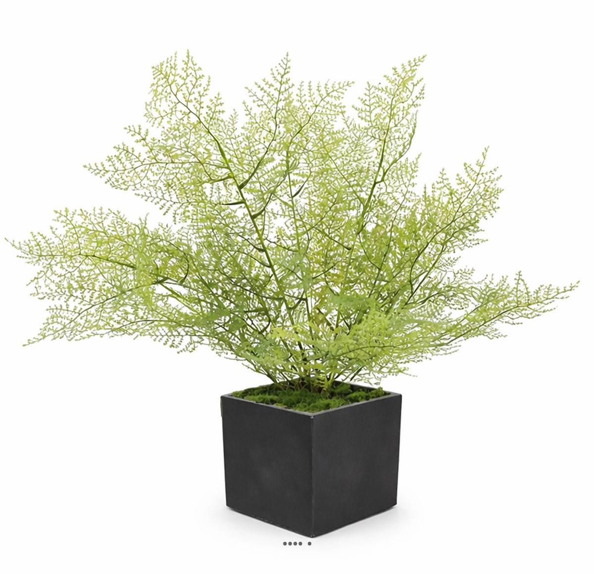 Asparagus artificiel en piquet 50 cm très dense extérieur - Image 2