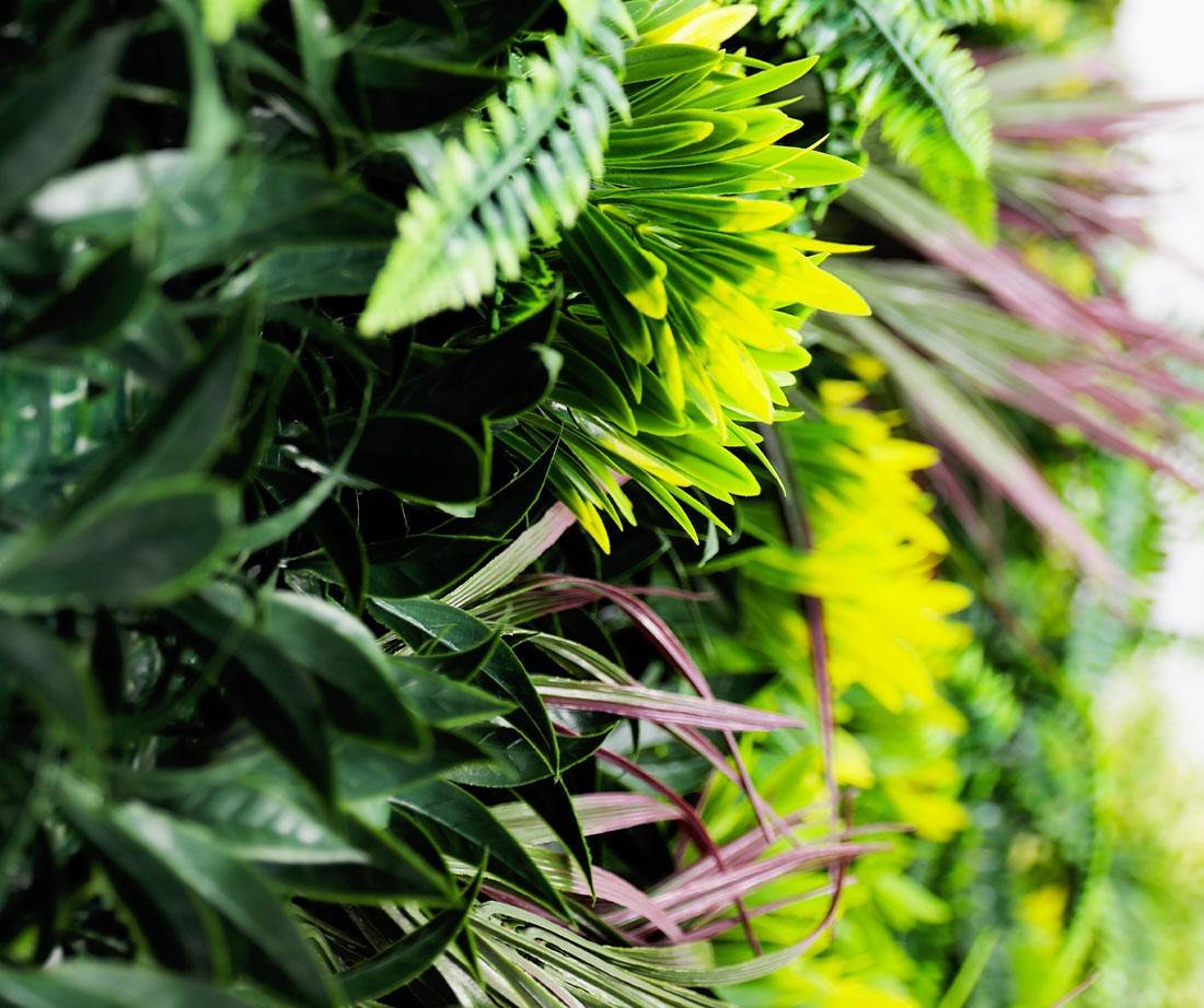 Mur Vegetal Artificiel Tropic MGS luxuriance Plaque de 1m x 1m - Image 3