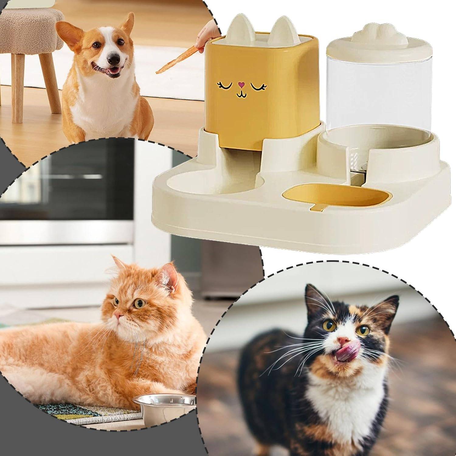 Ensemble distributeur d'eau et de nourriture pour chat et chien - Image 2
