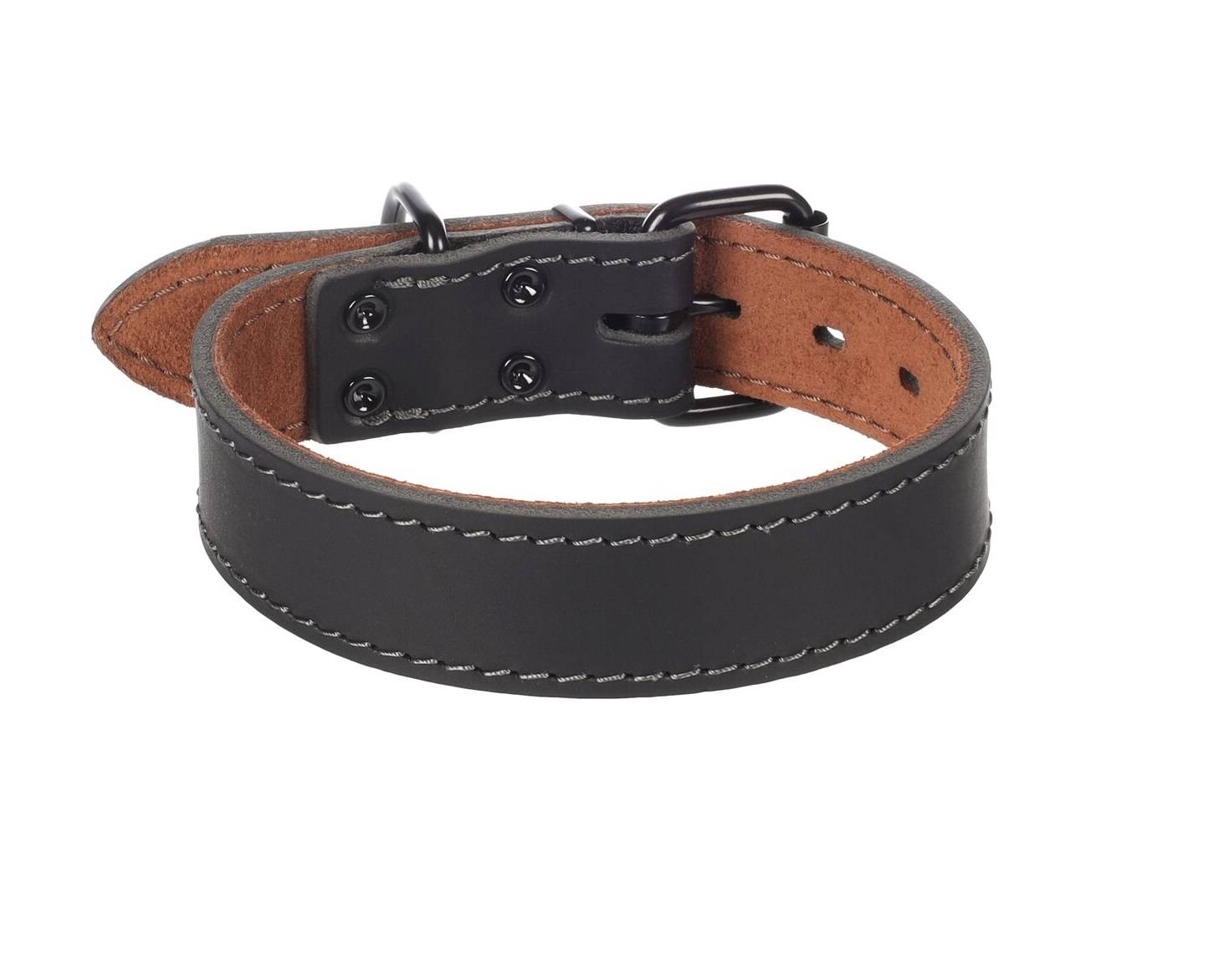Eden - Collier Chien Montana en cuir noir M 35-45cm 35mm - Image 1