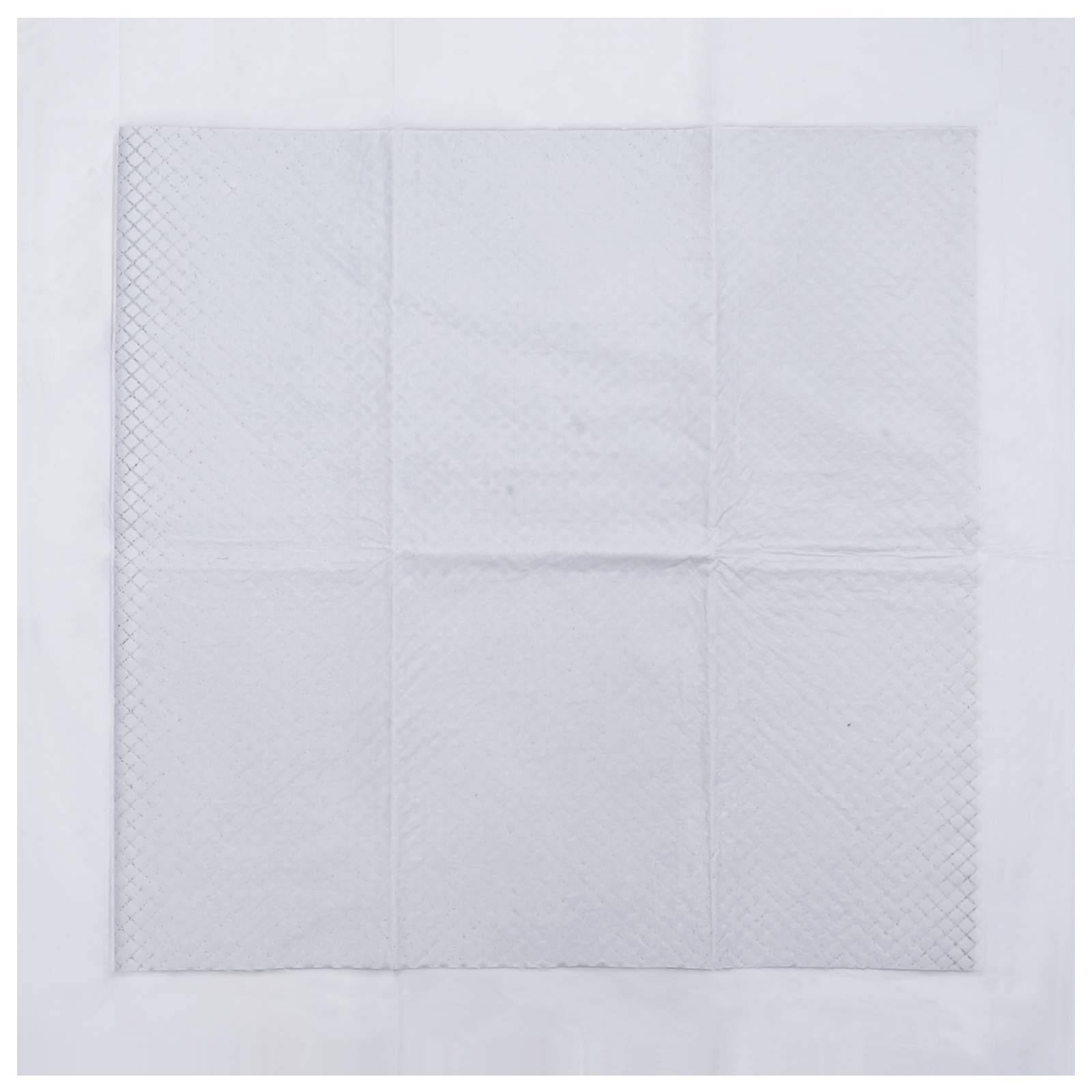 Vidaxl - Tapis d'entraînement pour animaux en tissu non tissé 50 pcs vidaXL 42025308 - Image 7