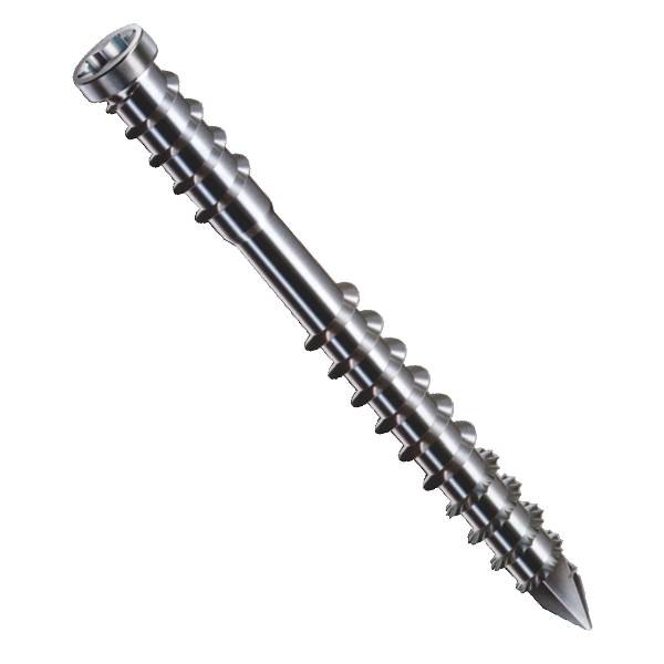 Vis terrasse SPAX 6x60mm Tête cyl. T-STAR plus T25 - Pointe CUT - inox A2 - 100 unités - 0538000600603 - Image 2