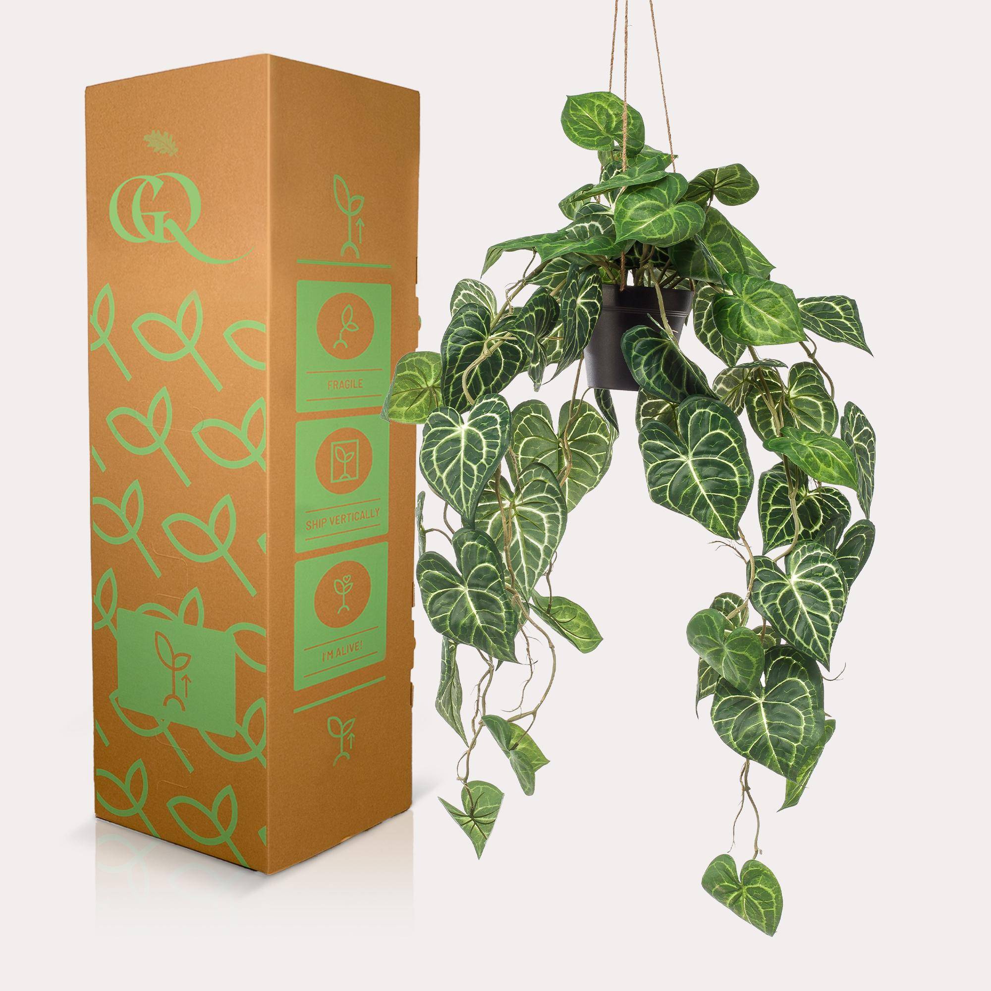La Green Touch - Anthurium Clarinerdium plante artificielle - h80cm, Ø18cm- La Green Touch - Imagen 3