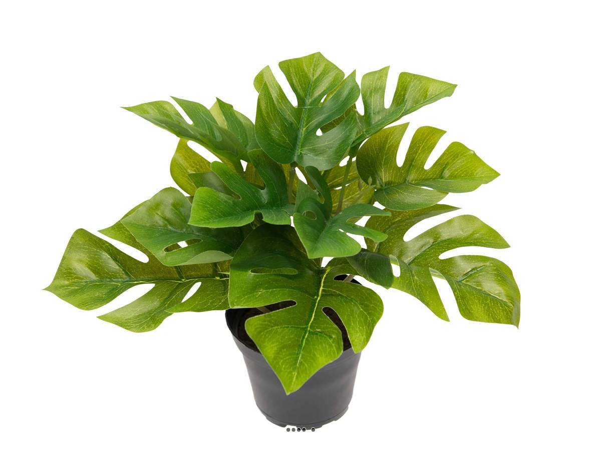 Artificielles - Philodendron artificiel en pot feuilles ouvertes H 17 cm D 21 cm - Imagen 2