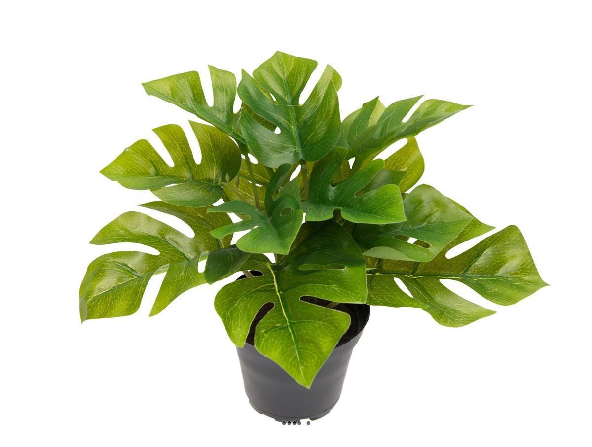 Artificielles - Philodendron artificiel en pot feuilles ouvertes H 17 cm D 21 cm - Imagen 1