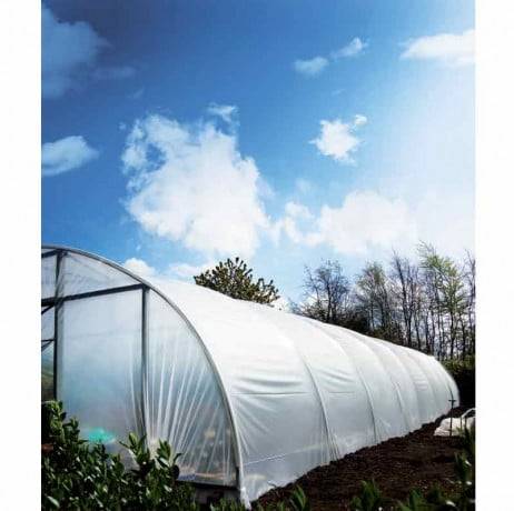 Plastidis - Bâche de serre thermique Plasticlair 200 microns incolore - Long 12 m, Larg 10.50 m - Imagen 1
