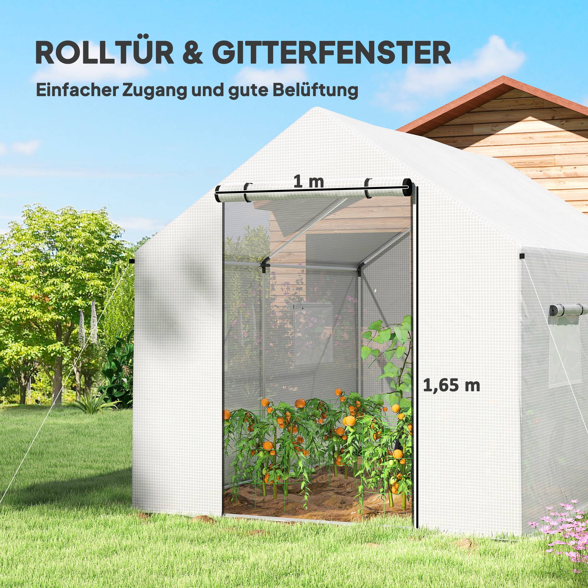 ComfortXL - Serre tunnel acier galvanisé 3 x 2 x 2 m blanche pour jardin avec 4 fenêtres moustiquaires et porte roulante - Image 5