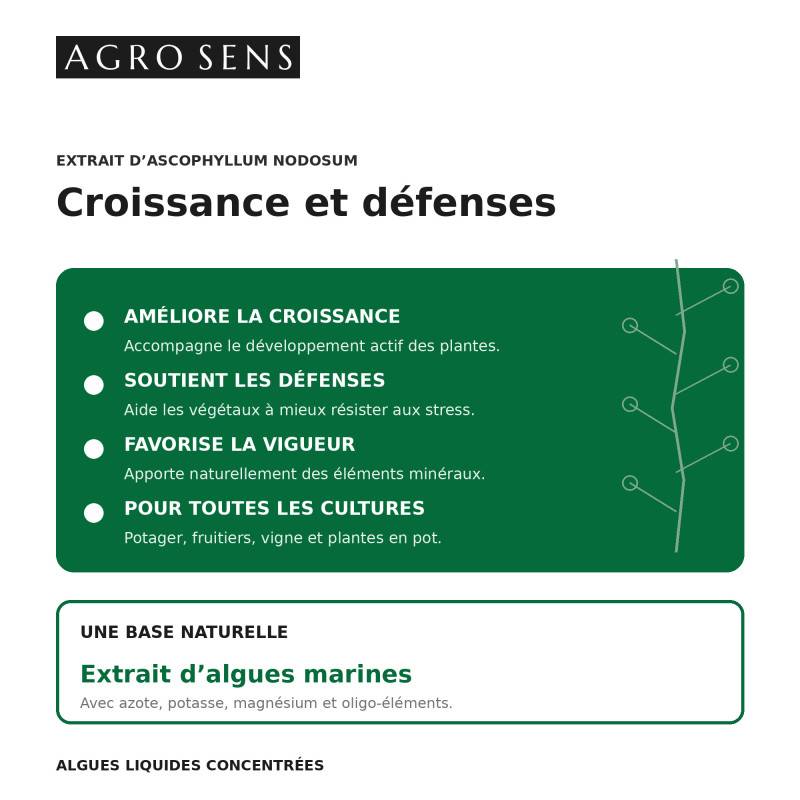 Engrais algues liquides concentrées - Agro Sens - 500 ml - Image 3