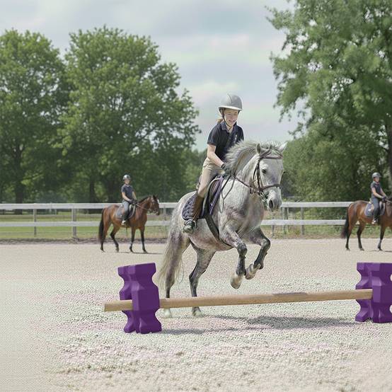 Bloc cavaletti - bloc obstacle équitation - Imagen 4