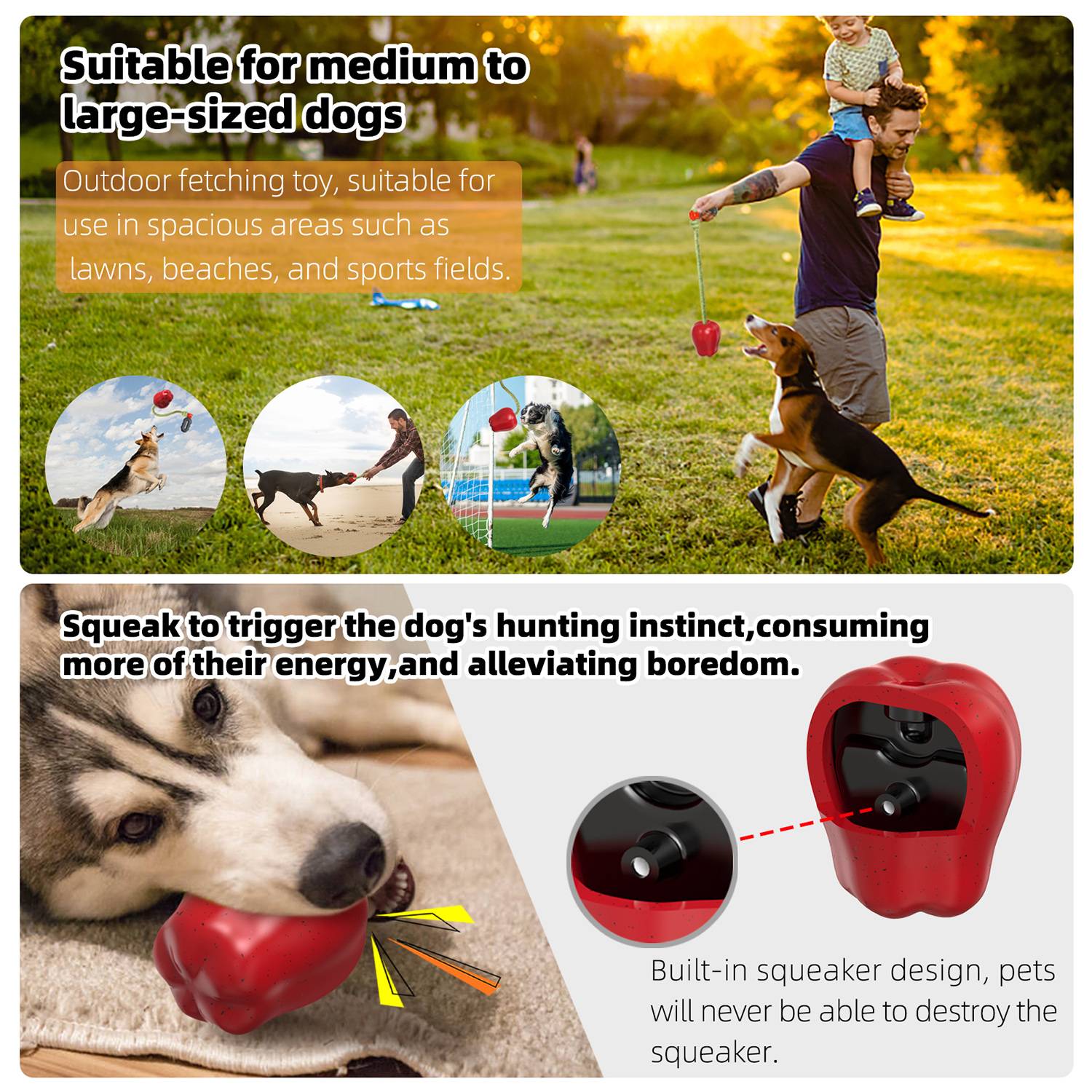 DtopbuyAge - Jouet de récupération pour chien avec corde DtopbuyAge - Image 5