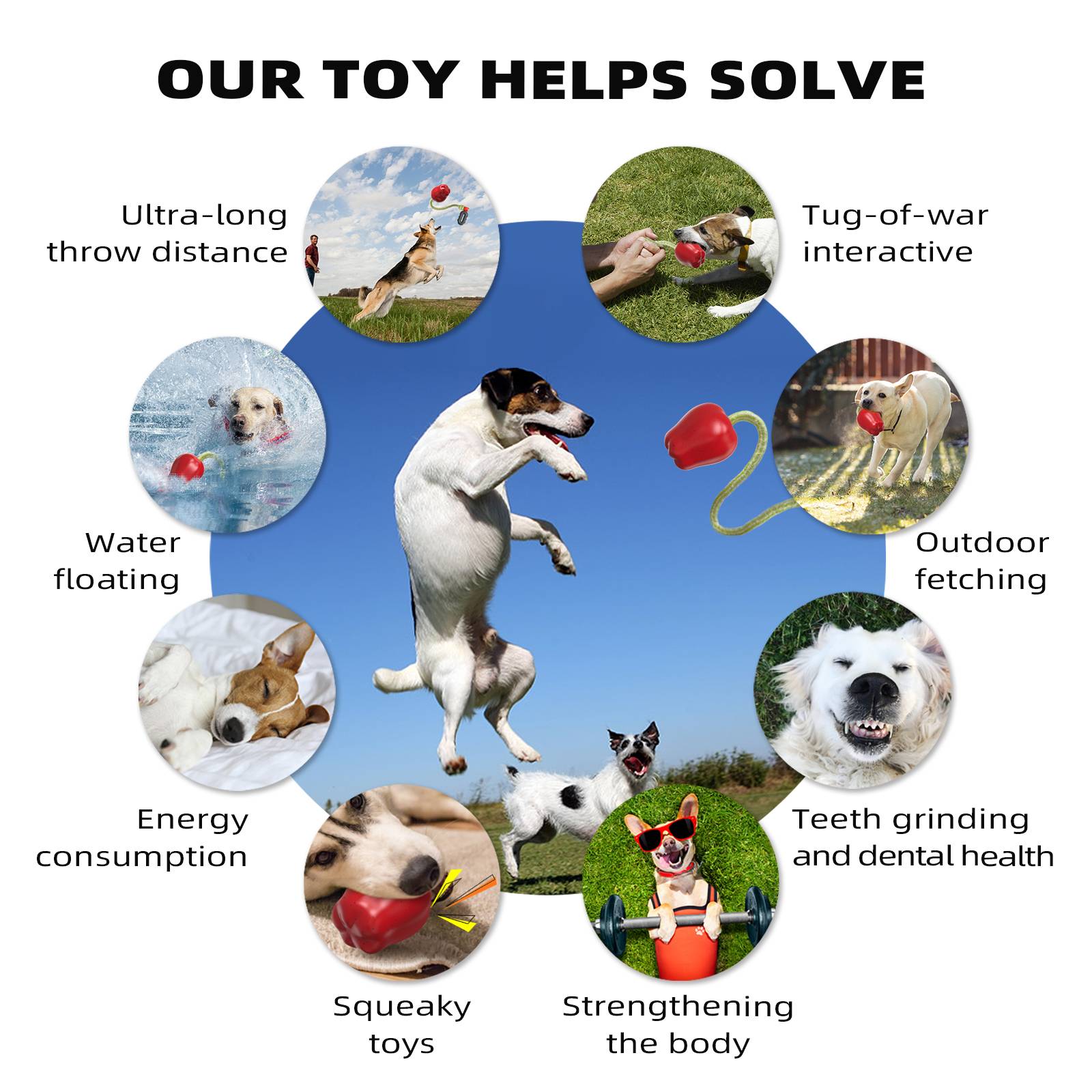 DtopbuyAge - Jouet de récupération pour chien avec corde DtopbuyAge - Image 2
