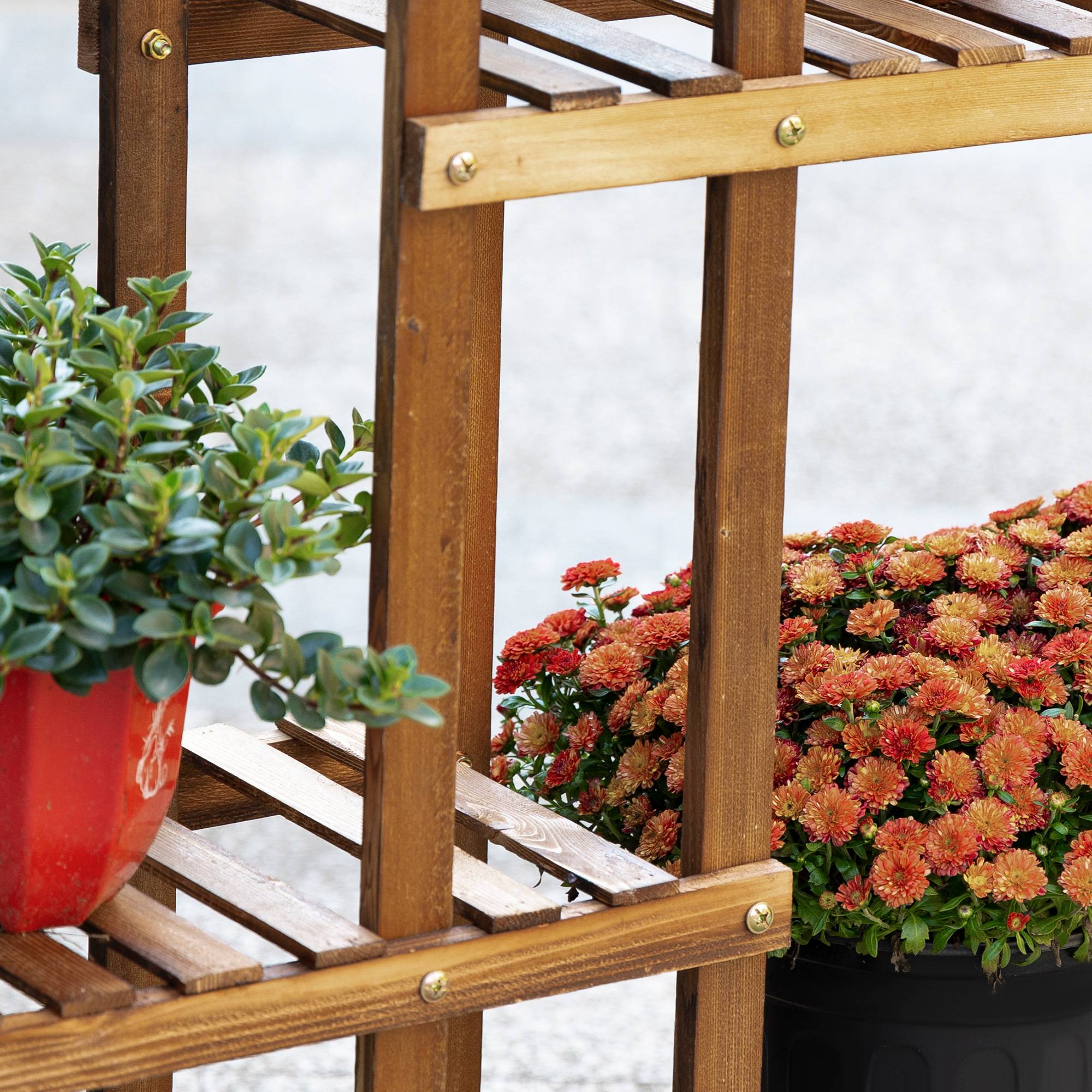 Étagère porte-plantes 6 niveaux en bois carbonisé pour intérieur et extérieur 98x96cm - ComfortXL Outdoor Living - Image 9