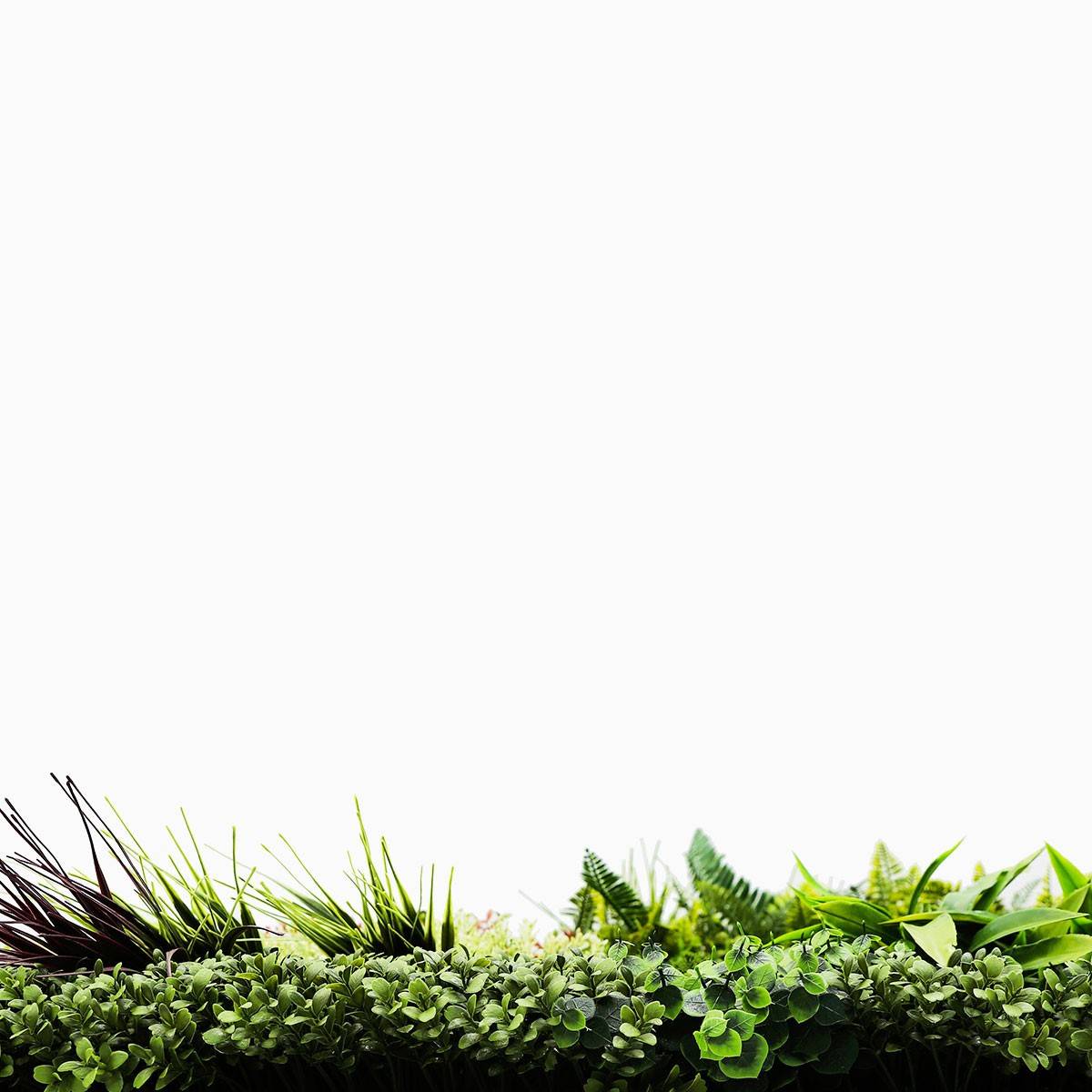 Plaque Vegetale Artificielle Prairie Color MGS 1m x 1m - Image 5