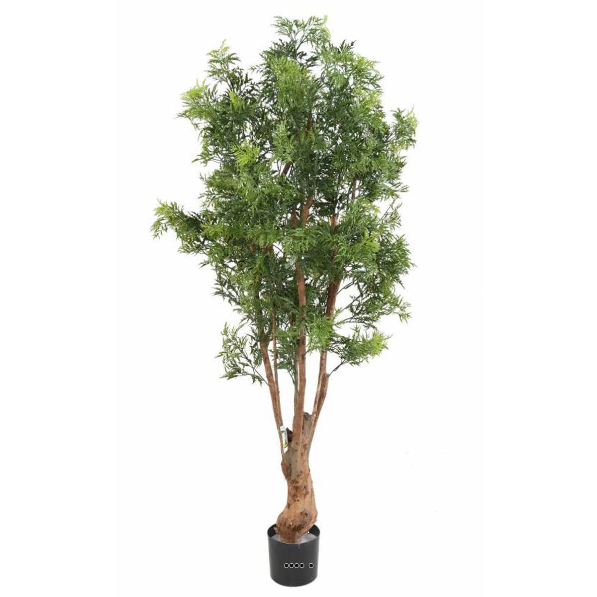 Artificielles - Aralia Arbre Artificiel H 165 cm D 80 cm Feuillage Anti-UV en pot