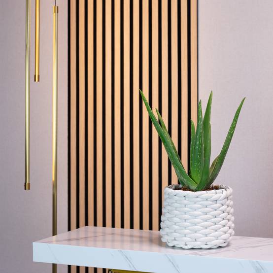 Aloe vera - plante d'intérieur facile d'entretien - hauteur env. 35 cm, pot-Ø 12 cm - Image 2